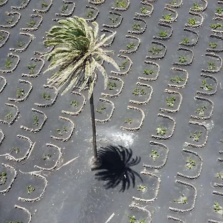 Am Meer * Mala